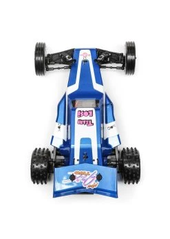 LOSI 1/16 Mini JRX2 2WD Buggy Brushed RTR - Blue -hu bhobby shop losi 1 16 mini jrx2 2wd buggy brushed rtr blue 8